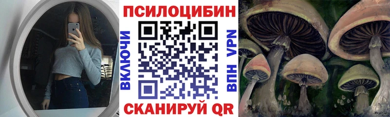Псилоцибиновые грибы мухоморы кракен ссылки Домодедово